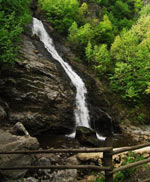 Cascada in Rezervatia Naturala Cozia